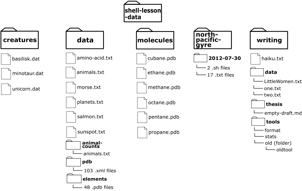 A directory tree below the shell-lesson-data directory where "/shell-lesson-data" contains the directories "creatures", "data", "molecules", "north-pacific-gyre", and "writing"