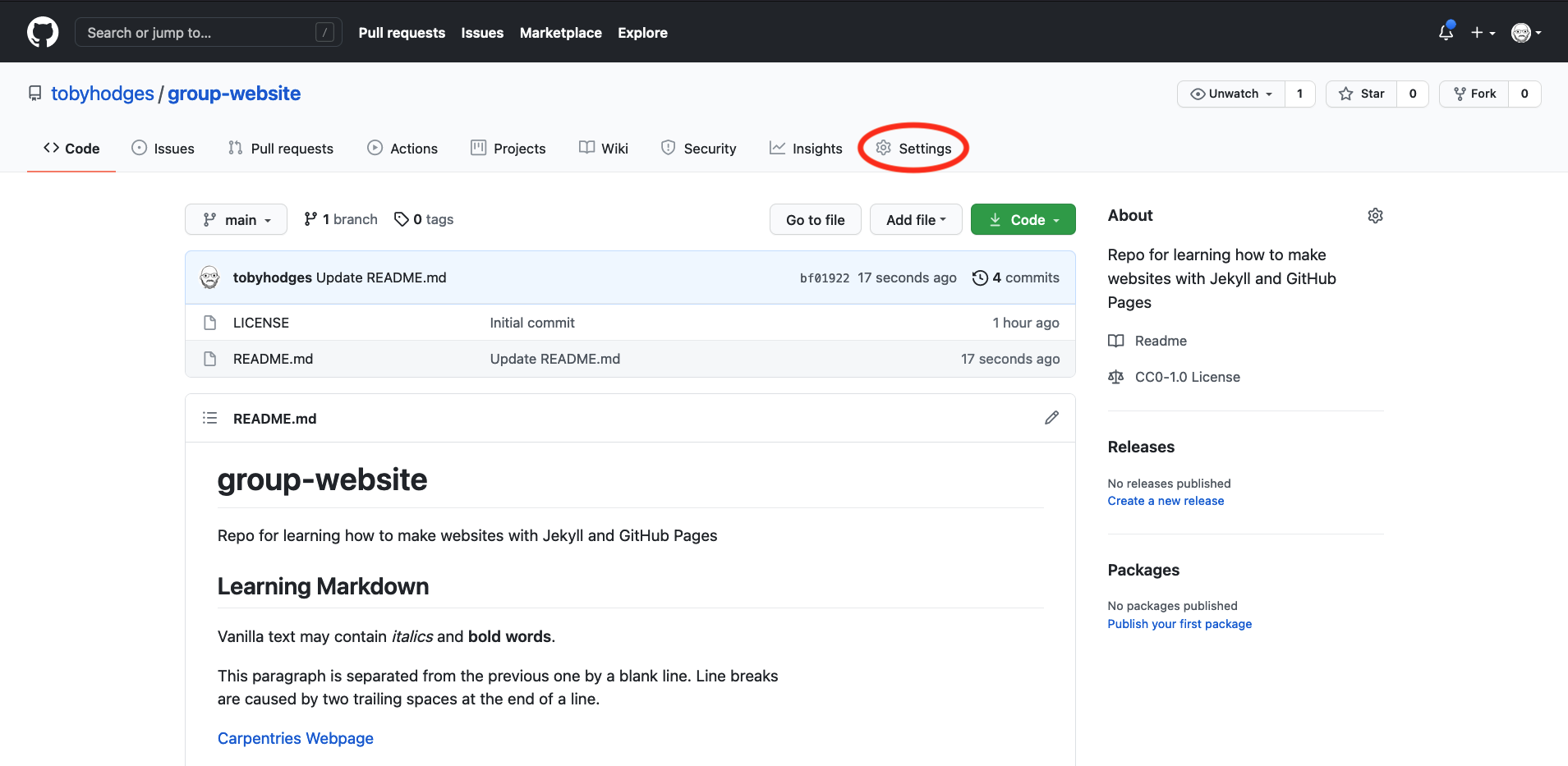 Repository 'Settings' button in GitHub interface