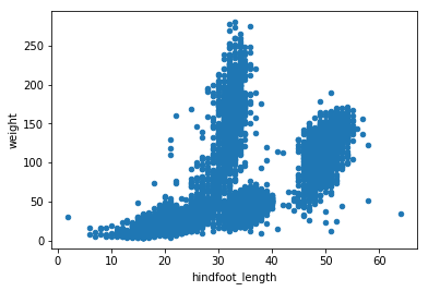 Scatter plot of survey data set